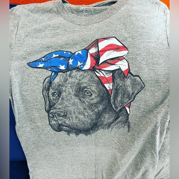 🔥NWT & LIKE NEW PET DOG LOVER LOUNGE T-SHIRT SHORT LOT OF 4 S/M BOSTON - Picture 5 of 7